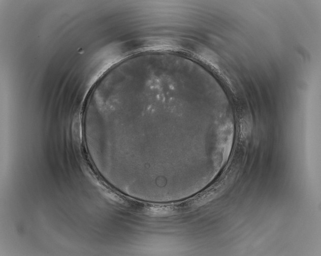 X0000111371274200908071207