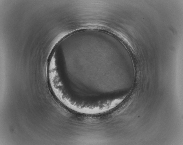 X0000111371275200908071207