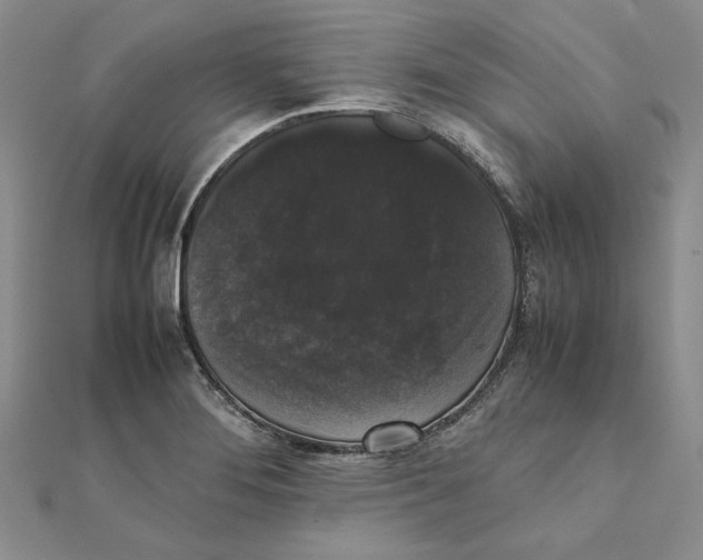 X0000111371276200908071206