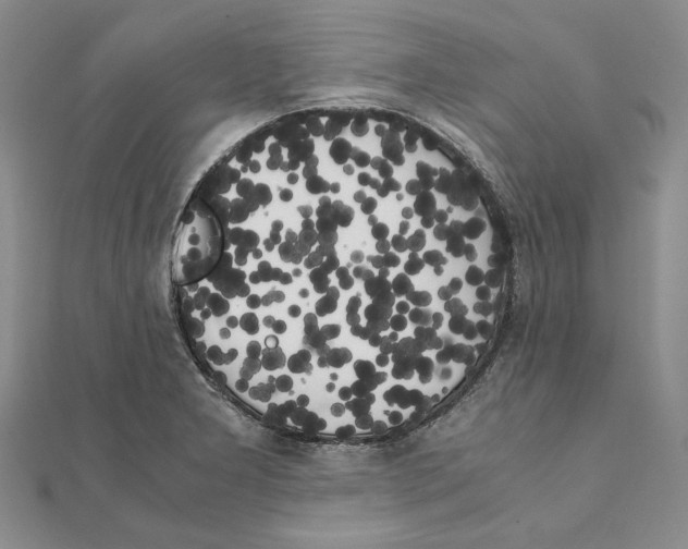 X0000111371277200908071206
