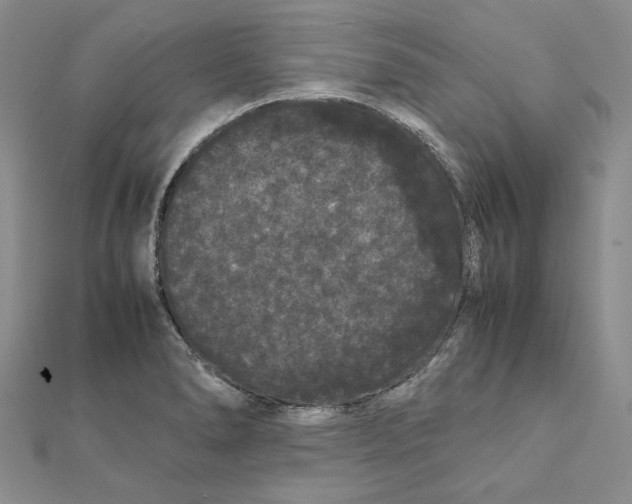 X0000111371278200908071206