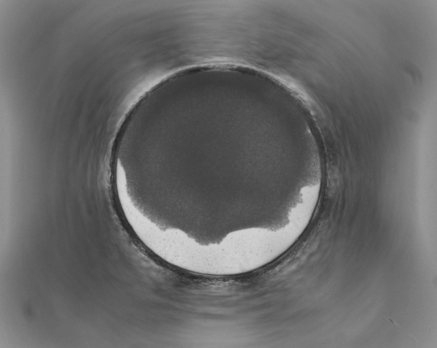 X0000111371279200908071206