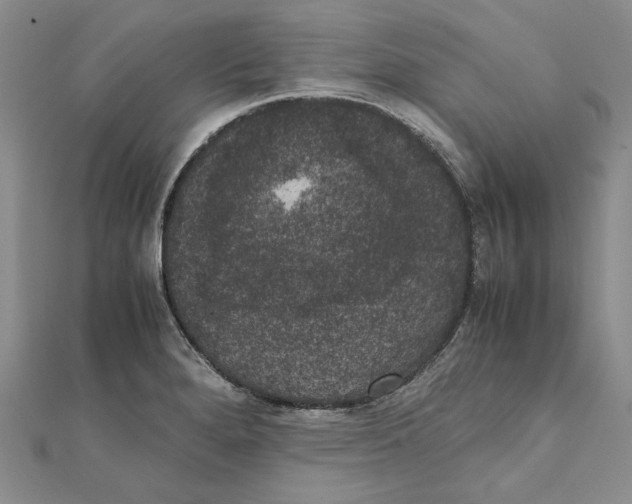 X0000111371280200908071206