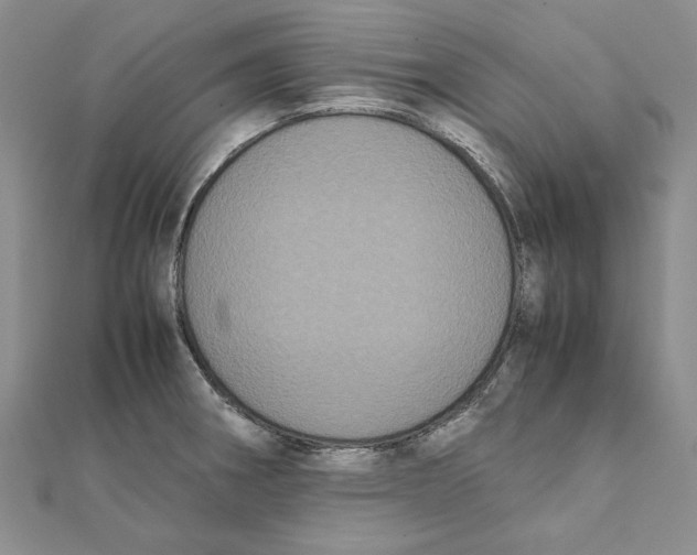 X0000111371282200908071206