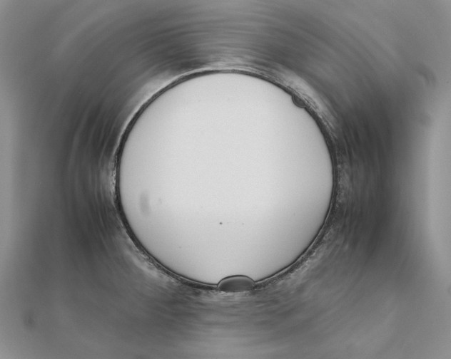 X0000111371284200908071206
