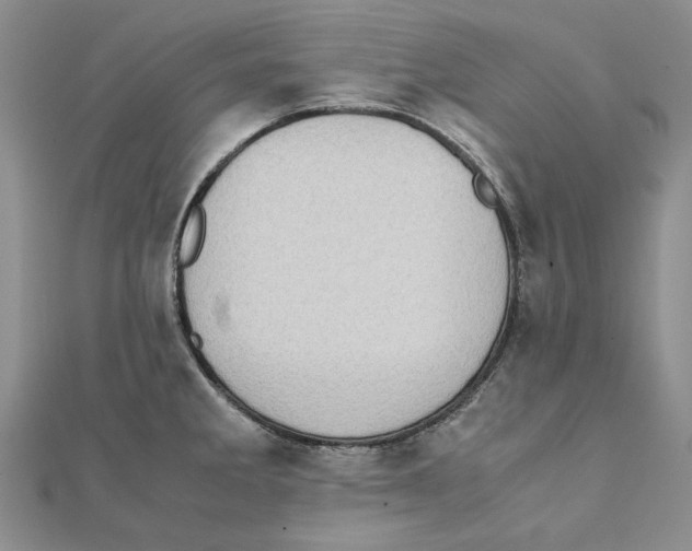 X0000111371285200908071206