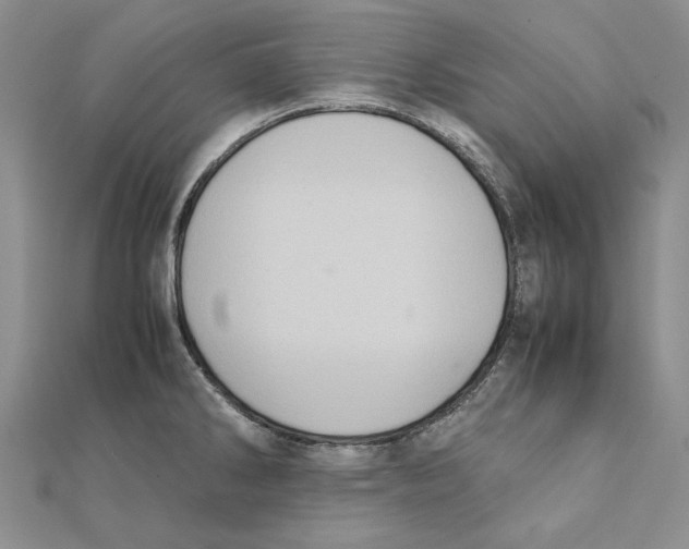 X0000111371286200908071206
