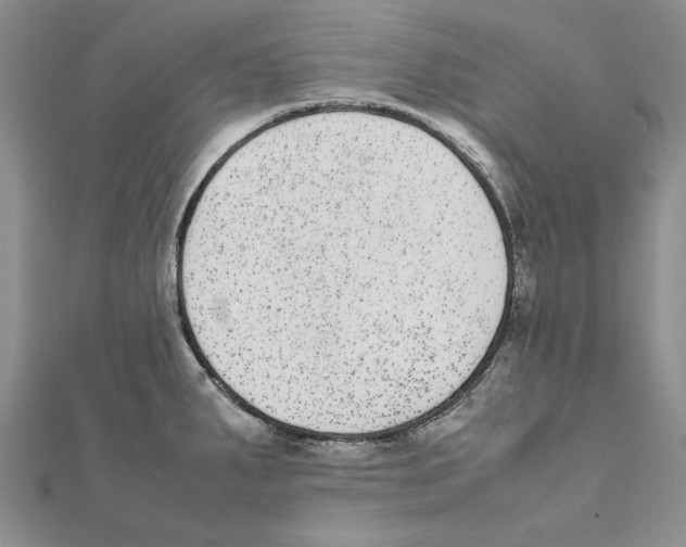 X0000111371287200908071206