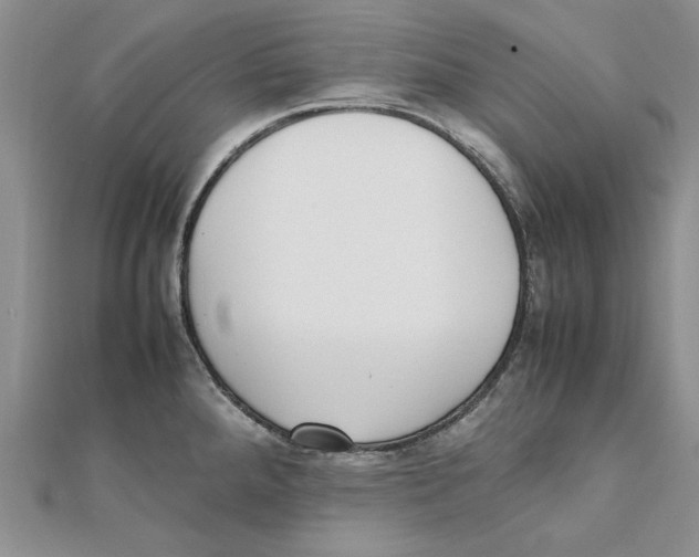 X0000111371288200908071206