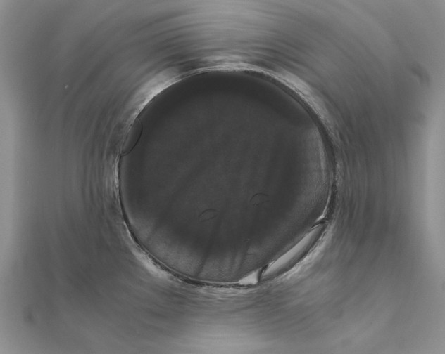 X0000111371289200908071206