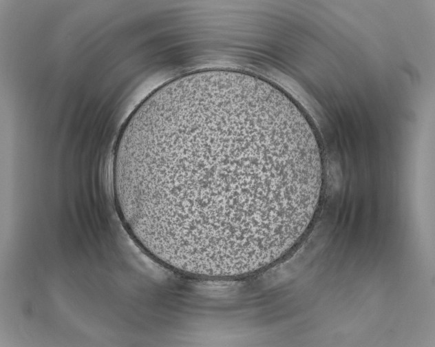 X0000111371290200908071206