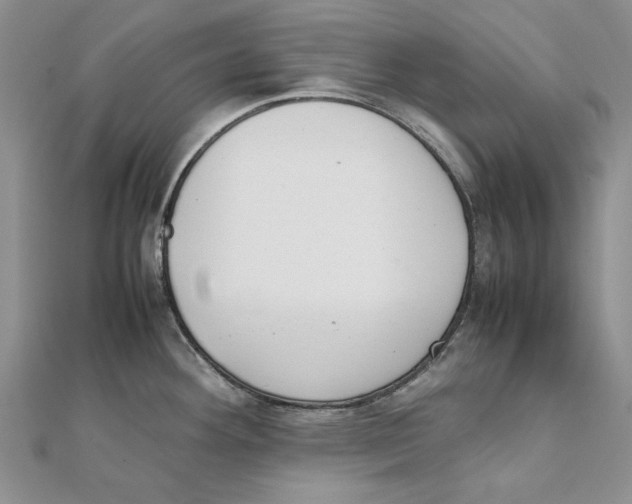X0000111371292200908071206