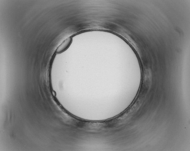 X0000111371293200908071206