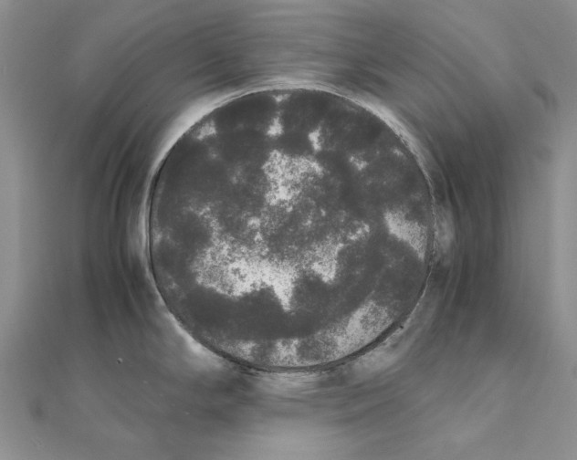 X0000111371294200908071206