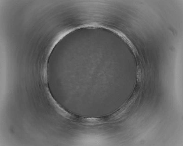 X0000111371295200908071206