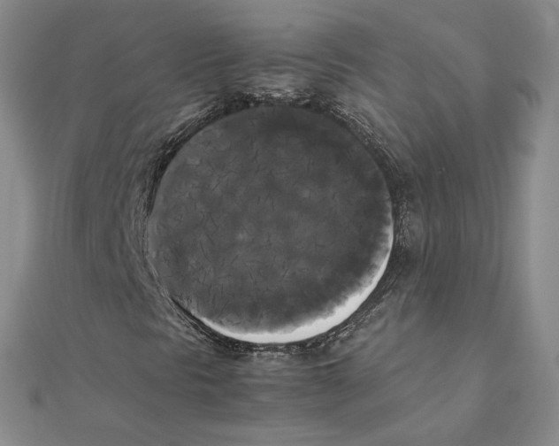 X0000111371297200908071205