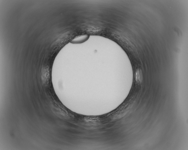 X0000111371299200908071205