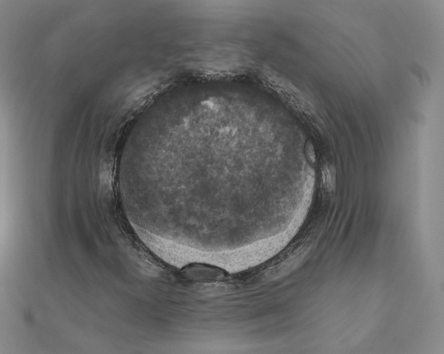 X0000111371300200908071205