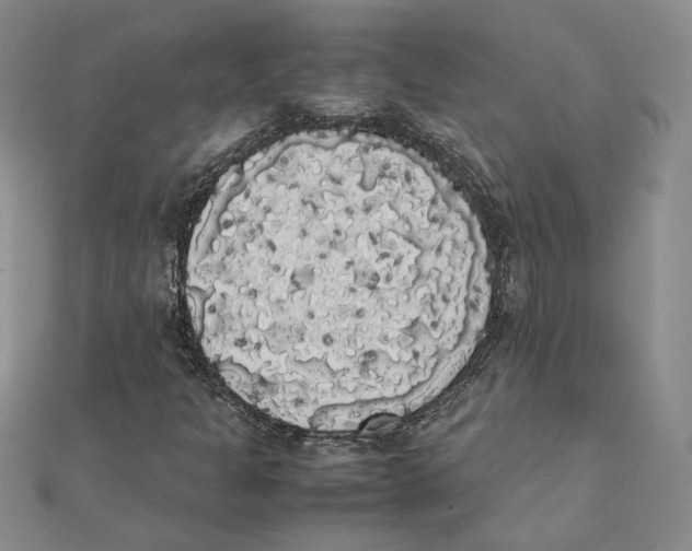 X0000111371301200908071205