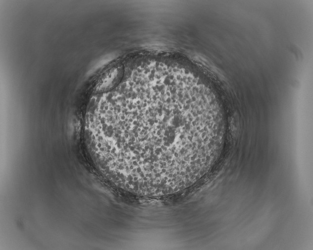 X0000111371302200908071206
