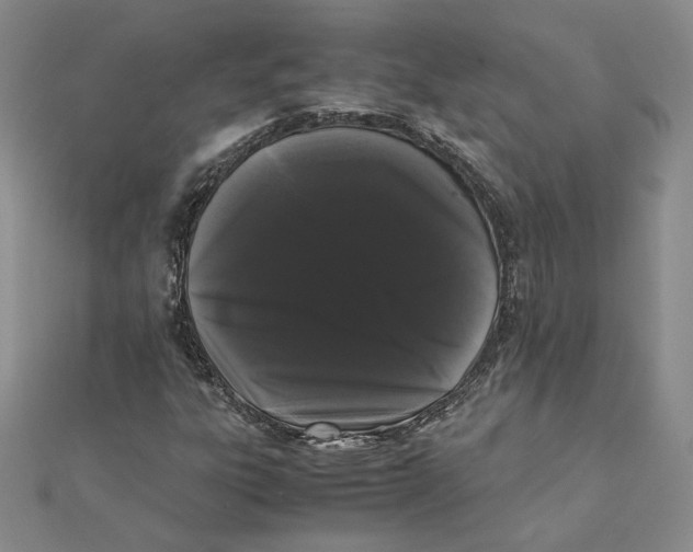 X0000111371303200908071206