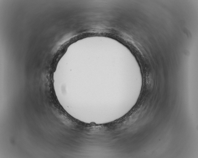 X0000111371304200908071206