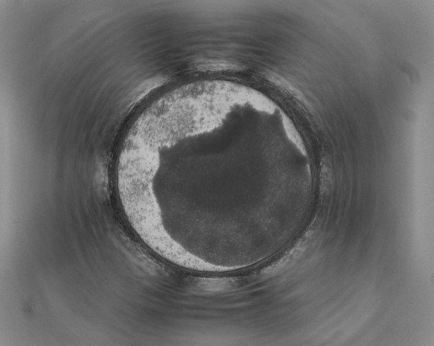 X0000111371305200908071206