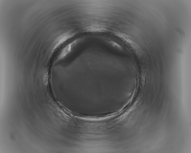 X0000111371306200908071206