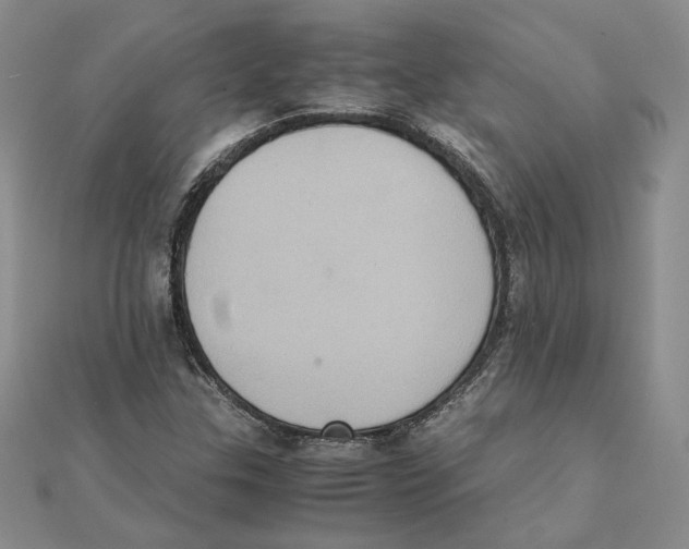 X0000111371307200908071206
