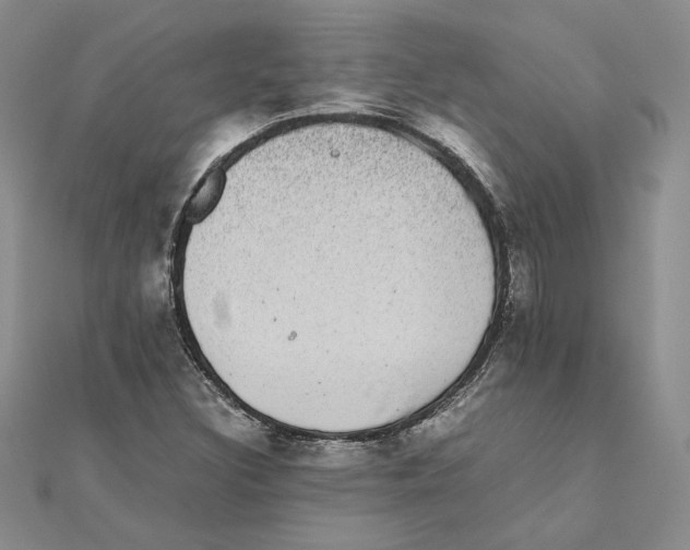 X0000111371308200908071206