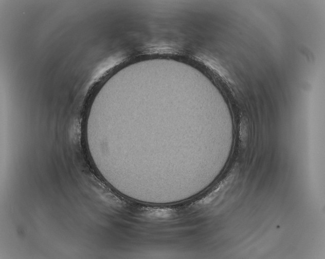 X0000111371309200908071206