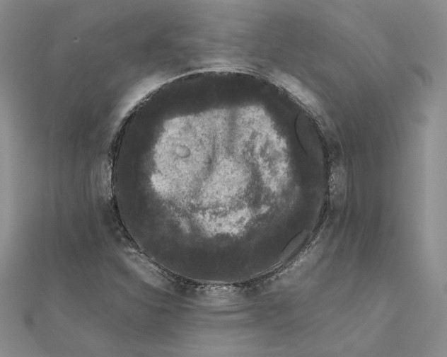 X0000111371310200908071206
