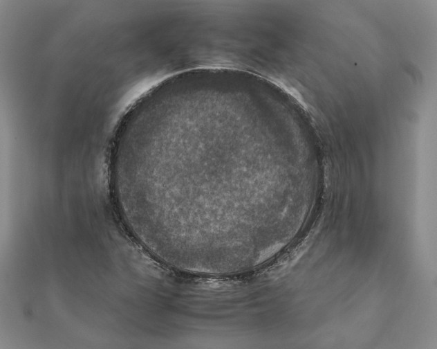 X0000111371311200908071206