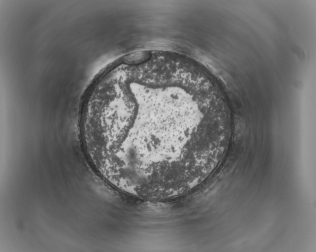 X0000111371312200908071206