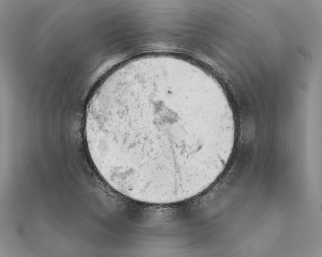 X0000111371314200908071206