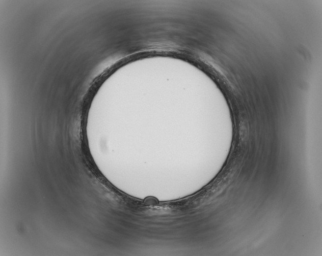 X0000111371315200908071206