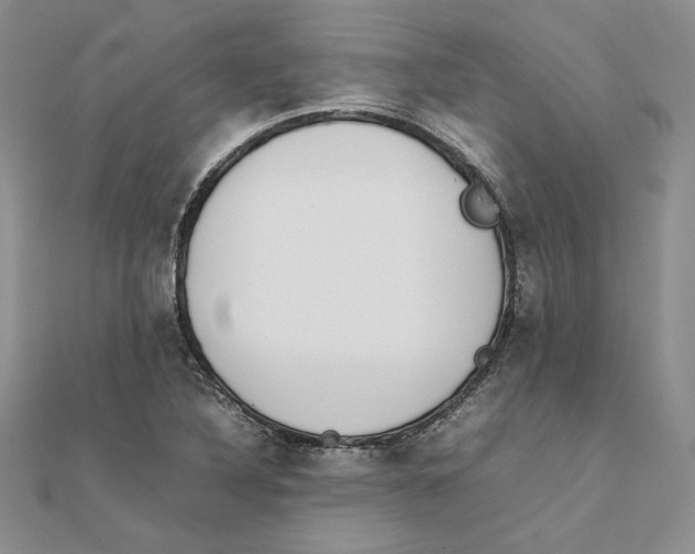 X0000111371316200908071206