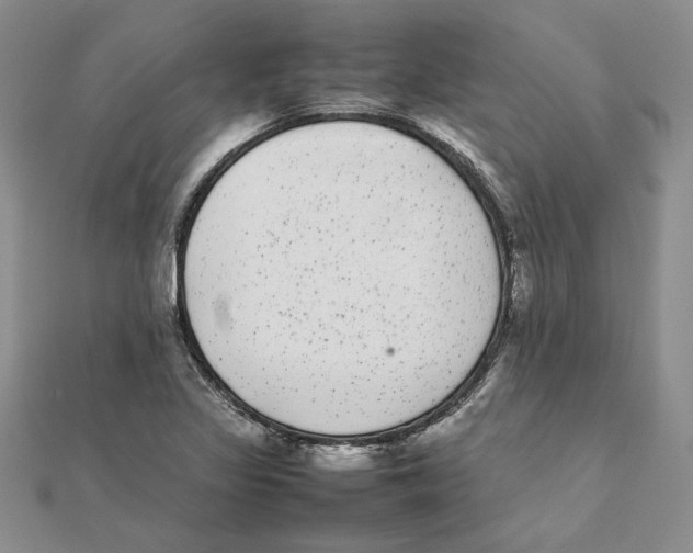 X0000111371317200908071206