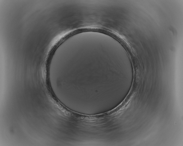 X0000111371319200908071206