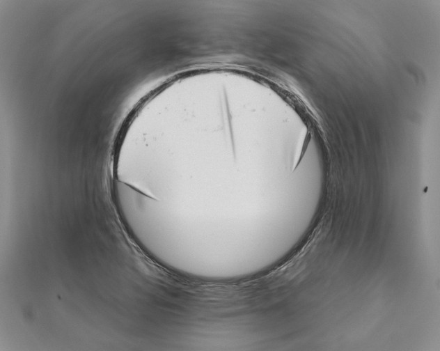 X0000111371320200908071206