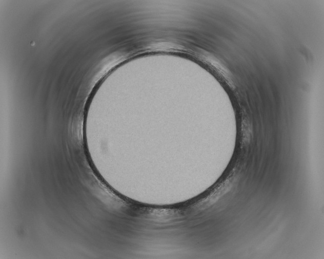 X0000111371322200908071206