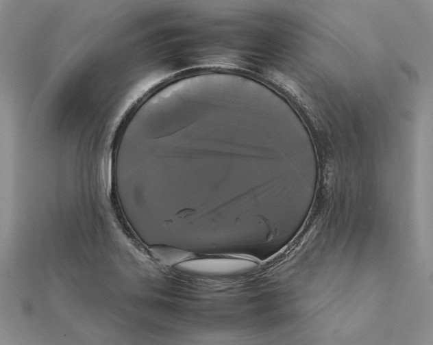 X0000111371323200908071206