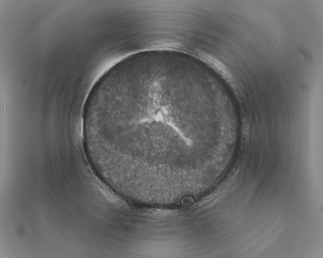 X0000111371324200908071206