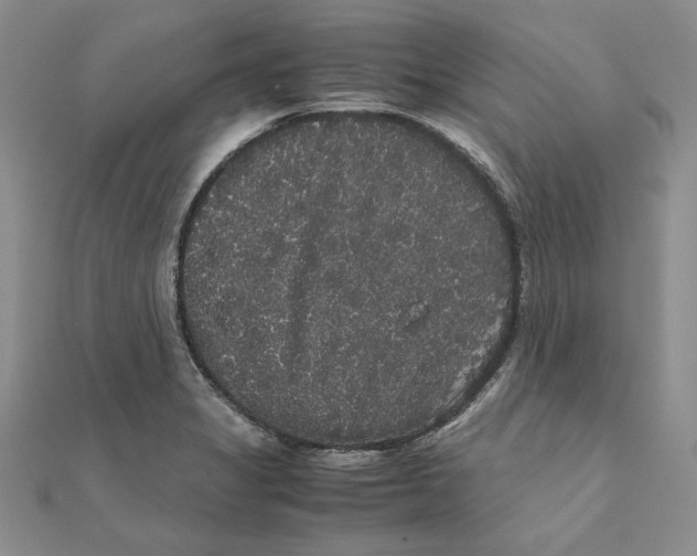 X0000111371325200908071206