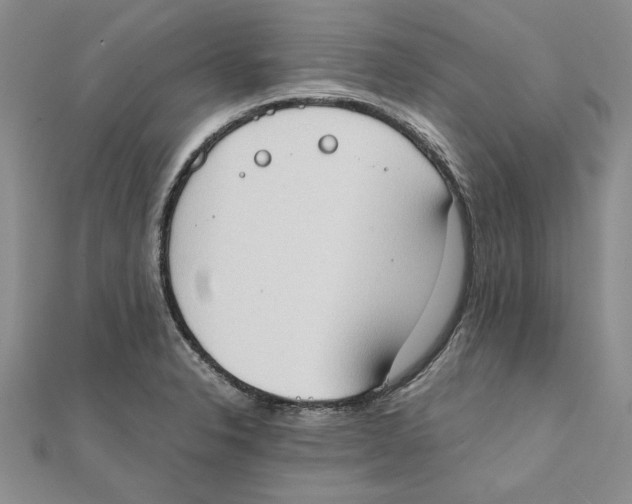 X0000111371326200908071206