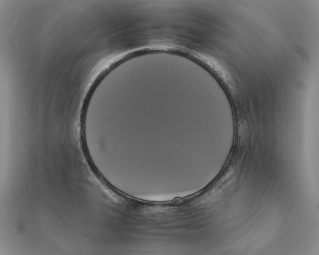 X0000111371327200908071206