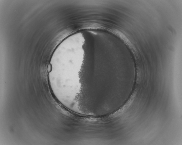 X0000111371329200908071206