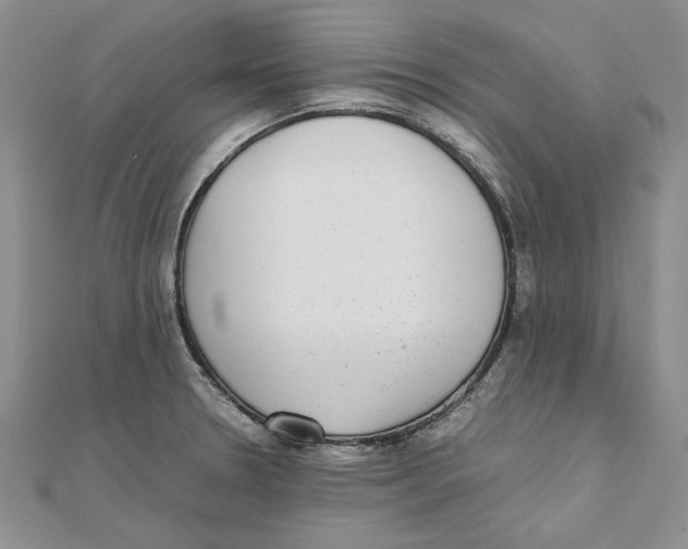 X0000111371330200908071206