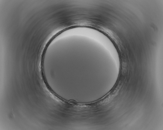 X0000111371331200908071206
