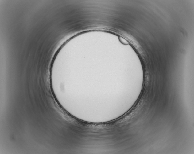 X0000111371332200908071206